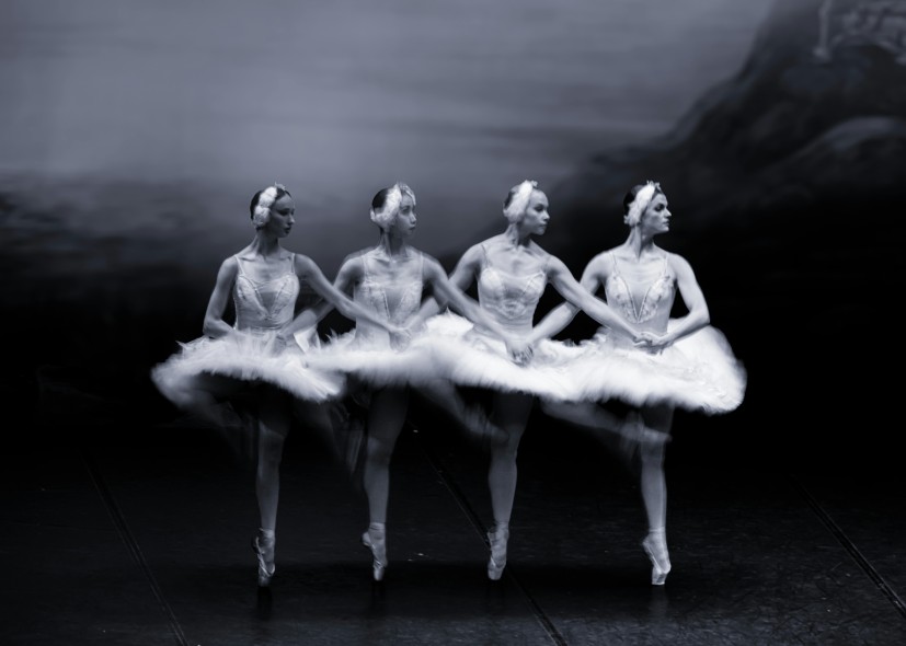 swan lake ballet