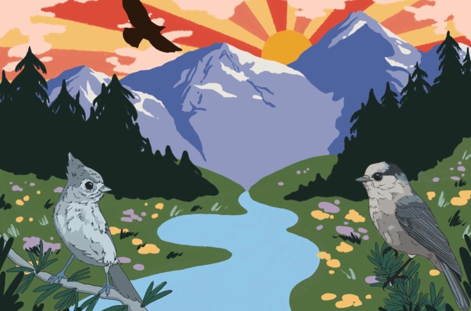 Aspen Summer of Birds